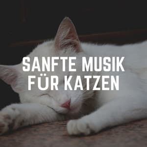 Sanfte Musik Für Katzen - Katzenmusik