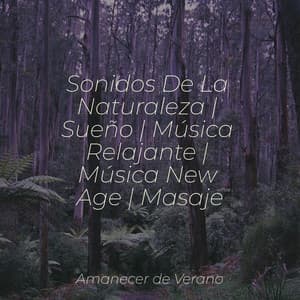 Sonidos De La Naturaleza | Sueño | Música Relajante | Música New Age | Masaje - Canciones Infantiles de Niños