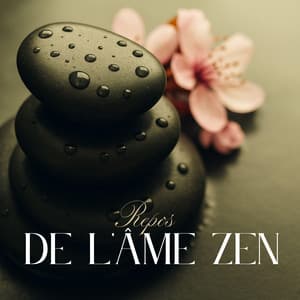 Repos de l'Âme Zen - Ensemble de Musique Zen Relaxante