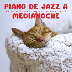 Piano De Jazz A Medianoche: Melodías Suaves Y Melódicas Para Gatos - Colección Piano Jazz