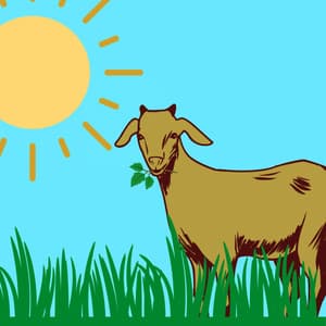 Music for Beach Blues - Superlative Bossa Guitar Trio with Jazz Organ - Reading Background Music