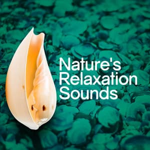 Nature's Relaxation Sounds - Nature Sounds