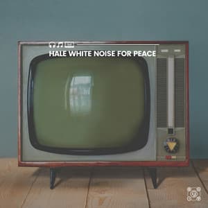 Hale White Noise for Peace - Sleep Easy Solutions