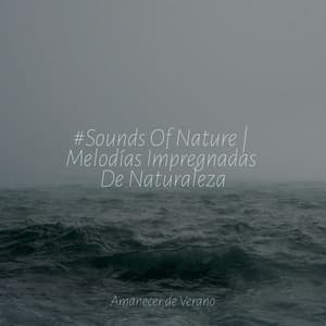 #Sounds Of Nature | Melodías Impregnadas De Naturaleza - Ambiente