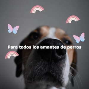 Para todos los amantes de perros - Musica de Piano Clásicos