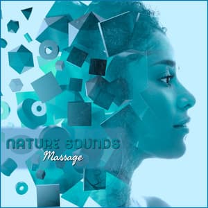 Nature Sounds Massage: Relaxing Spa Music for Natural Treatments, Massage, Self-Care - Harmony Nature Sounds Academy