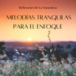 Reflexiones De La Naturaleza: Melodías Tranquilas Para El Enfoque - Elementos de la naturaleza