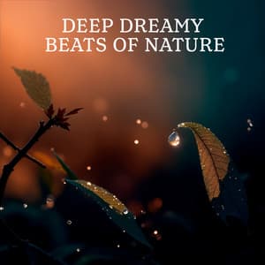 Deep Dreamy Beats Of Nature: Slow Healthy Melodies For Peaceful People And Open Minds - A Little Hope