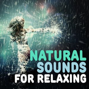 Natural Sounds for Relaxing - Sleep Music with Nature Sounds Relaxation