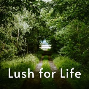 Lust for Life - Forest Sounds For Relaxation