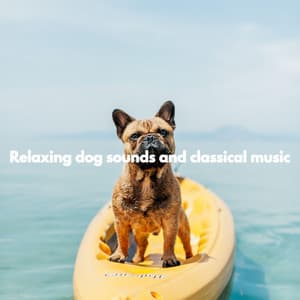 Relaxing dog sounds and classical music - Deluxe Elevator Music