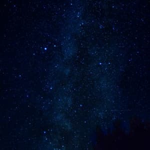 10 AM Woodlands: Ethereal Slumber - Baltic Nature Sounds