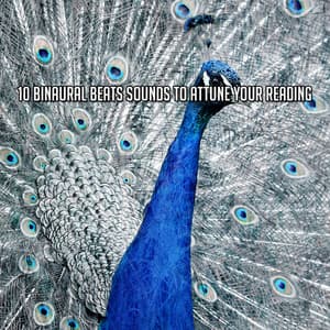 10 Binaural Beats Sounds To Attune Your Reading - Binaural Beats Brainwave Entrainment
