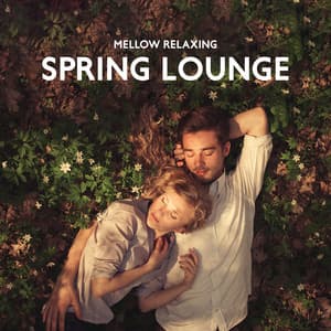 Mellow Relaxing Spring Lounge and Perfect Pleasant Feeling of Calm - Jazz Guitar Club