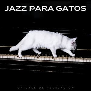 Jazz Para Gatos: Un Vals De Relajación - Clásicos del Jazz