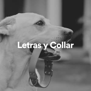 Letras y Collar - Música Pura Para Perros