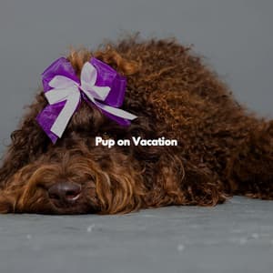 Pup on Vacation - Instrumental Soft Jazz
