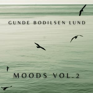 Moods, Vol. 2 - Henrik Gunde