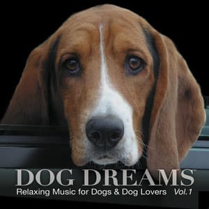 DOG DREAMS - Relaxing Music for Dogs & Dog Lovers Vol. 1 - PETS LOVE MUSIC