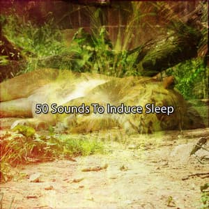 50 Sounds To Induce Sleep - Sleep Music System