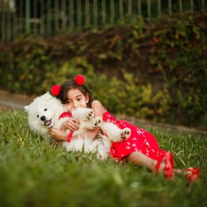 Tranquil Rain Play: Binaural Dog Comfort Serenade - Alm Bark