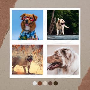 Vibrant Background Music for Doggy Bedtime - Songs for Dogs to Sleep To