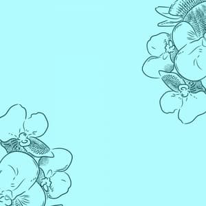 Music for Lounging Luxury - Cafe Smooth Jazz Radio