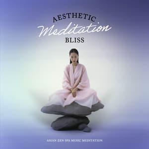 Aesthetic Meditation Bliss - Asian Zen Spa Music Meditation
