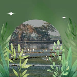 Caring - Calming Moments - Music for Focus Vibes