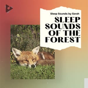 Sleep Sounds of The Forest - Sleep Sounds: by Sarah