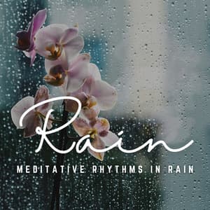 Rhythms of Rain: Guided Meditation with Nature - Nature Sounds Paradise