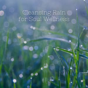 Cleansing Rain for Soul Wellness - Rain Paris
