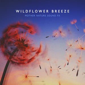 Wildflower Breeze - Mother Nature Sound FX