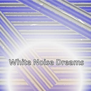 White Noise Dreams - Baby Sense