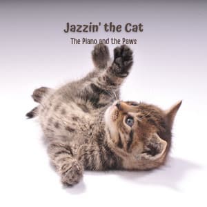 Jazzin' the Cat: The Piano and the Paws - Paris Coffee Shop