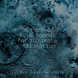 50 Perfect Rain Sounds for Ultimate Relaxation - Musica Para Dormir y Sonidos de la Naturaleza