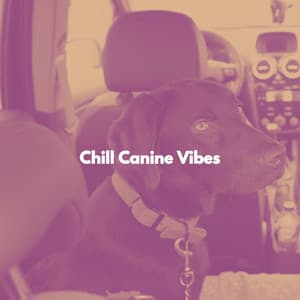Chill Canine Vibes - Musica Relajante para Perros Momentos