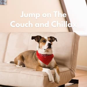 Jump on The Couch and Chillax - Calming Jazz For Dogs
