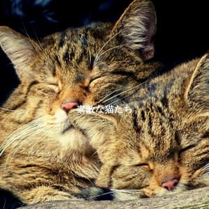 素敵な猫たち - Musica para Estudiar Ambiente