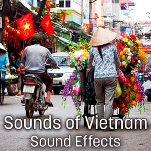 Sounds of Vietnam - Sound Ideas