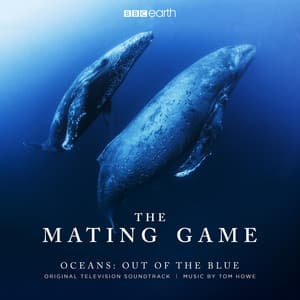 The Mating Game - Oceans: Out of the Blue - Tom Howe