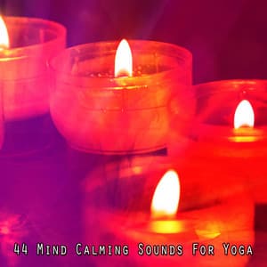 44 Mind Calming Sounds For Yoga - Pure Massage Music