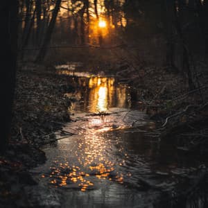 Sinfonías De Relajación Pura - Modo Relajante