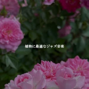 植物に最適なジャズ音楽 - Rainy Day Music Classics