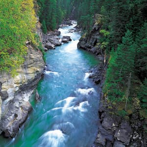 Soothing Streams: Serenity in Flowing Water Melodies - Waterfall Sound