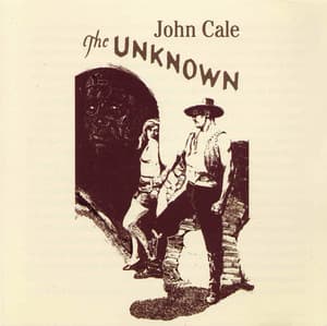 The Unknown - John Cale