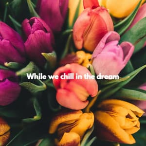 While we chill in the dream - Wine Bar Music