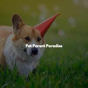Pet Parent Paradise - Jazz & Study Playlist