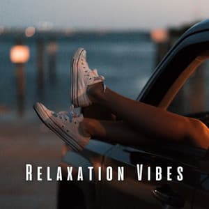 Relaxation Vibes: Ambient Sounds with Lofi for Stress Relief - Lofi Playlist