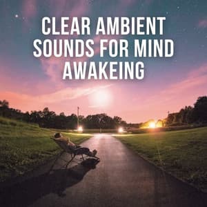 Clear Ambient Sounds for Mind Awakeing - Relaxed Minds